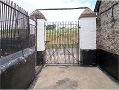 Gate and railings at the kennels