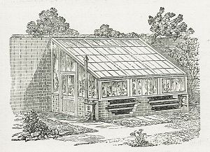 Victorian era heated Greenhouse