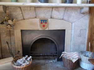 Powderham fireplace