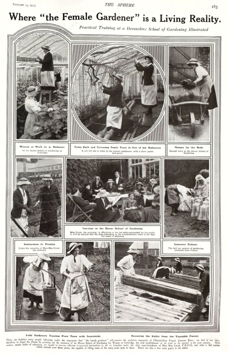 Devonshire School of Gardening: page from ‘The Sphere’, 1913
