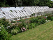 Tregrehan Greenhouses