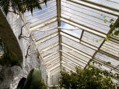Tregrehan greenhouse roof