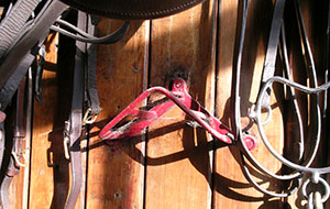 Harness Brackets at Boldtry Stables